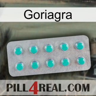 Goriagra 28